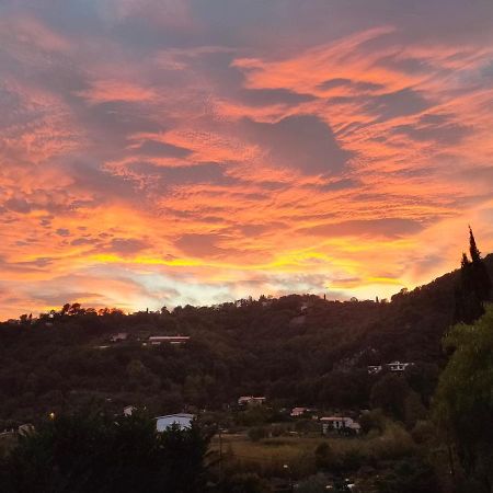 Willa Un Brin De Paille Cagnes-sur-Mer Zewnętrze zdjęcie