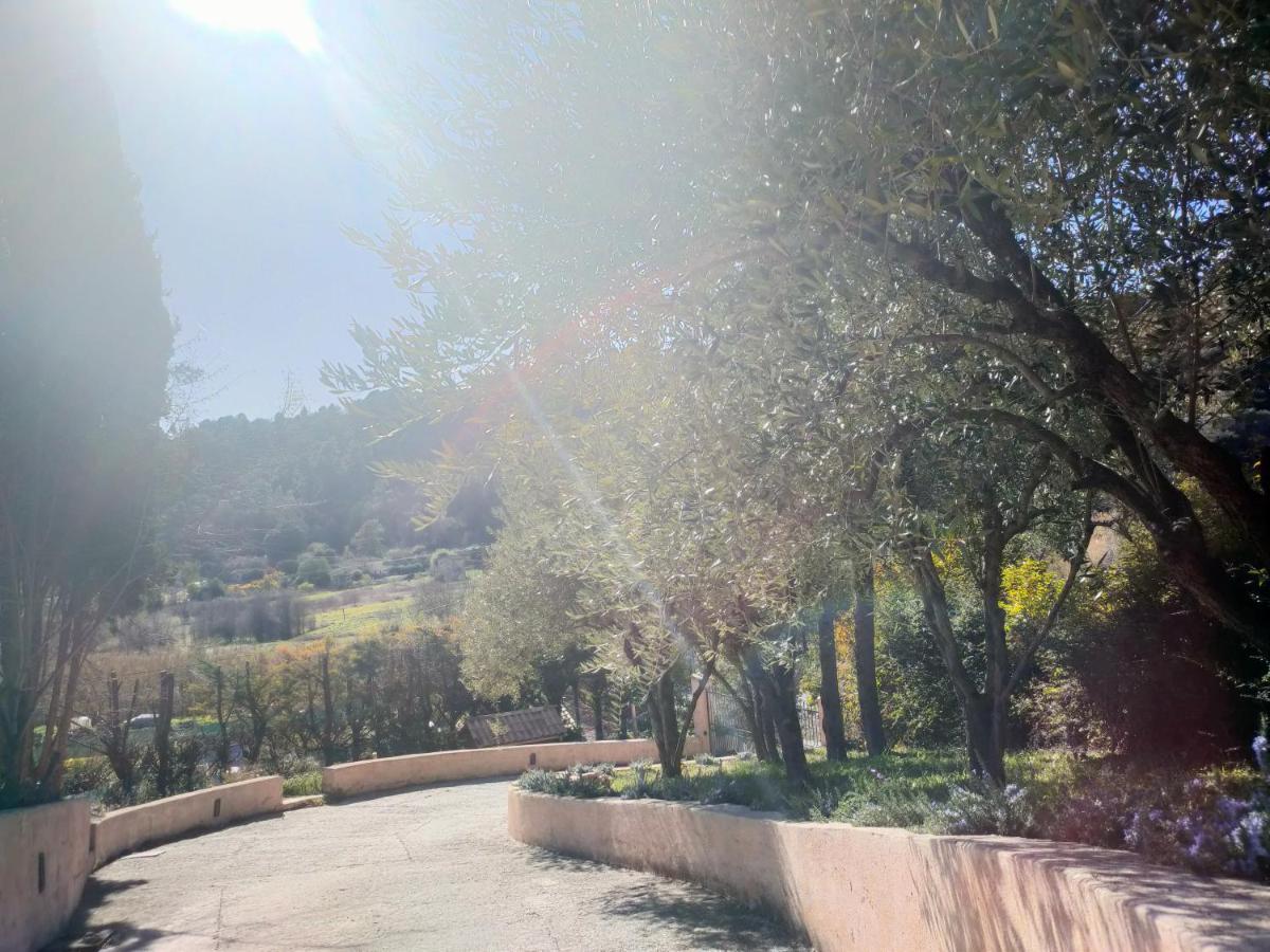 Willa Un Brin De Paille Cagnes-sur-Mer Zewnętrze zdjęcie