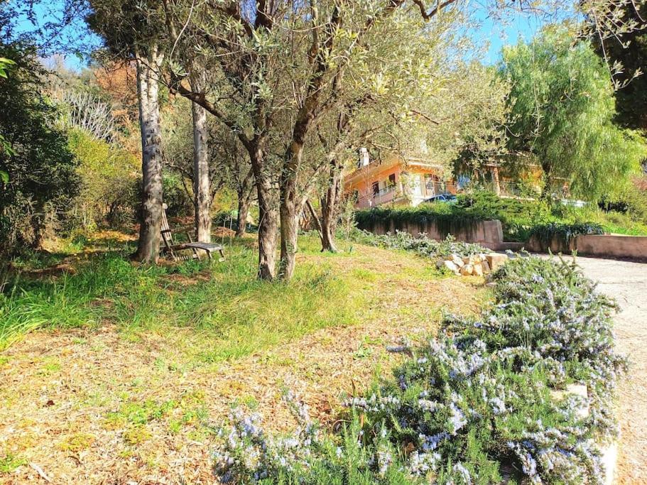 Willa Un Brin De Paille Cagnes-sur-Mer Zewnętrze zdjęcie