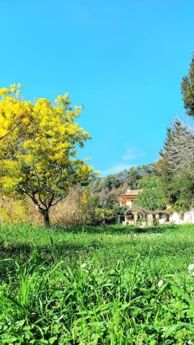 Willa Un Brin De Paille Cagnes-sur-Mer Pokój zdjęcie